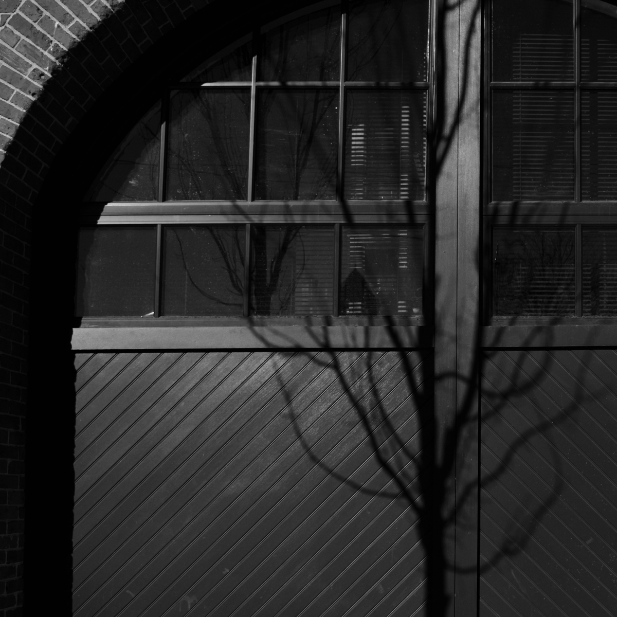 01112015JacksonEfexbw