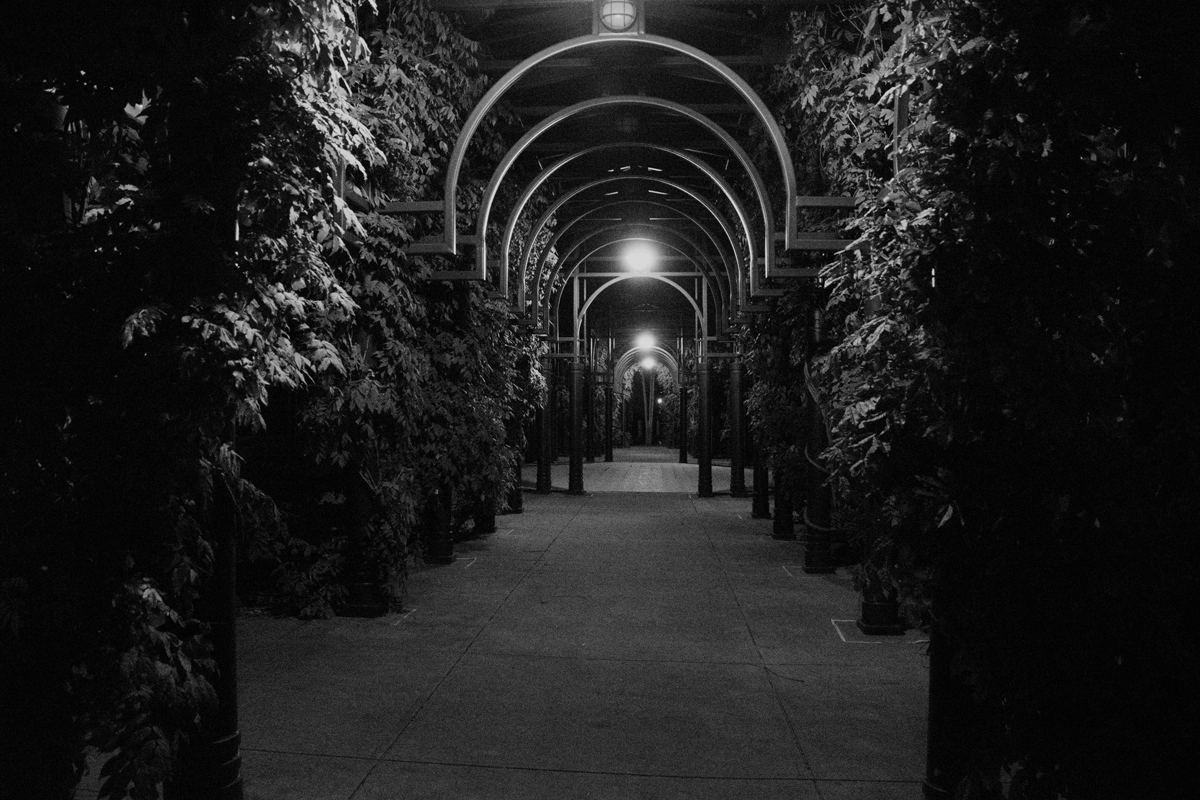 2016-nov-13_supermoon_bhp