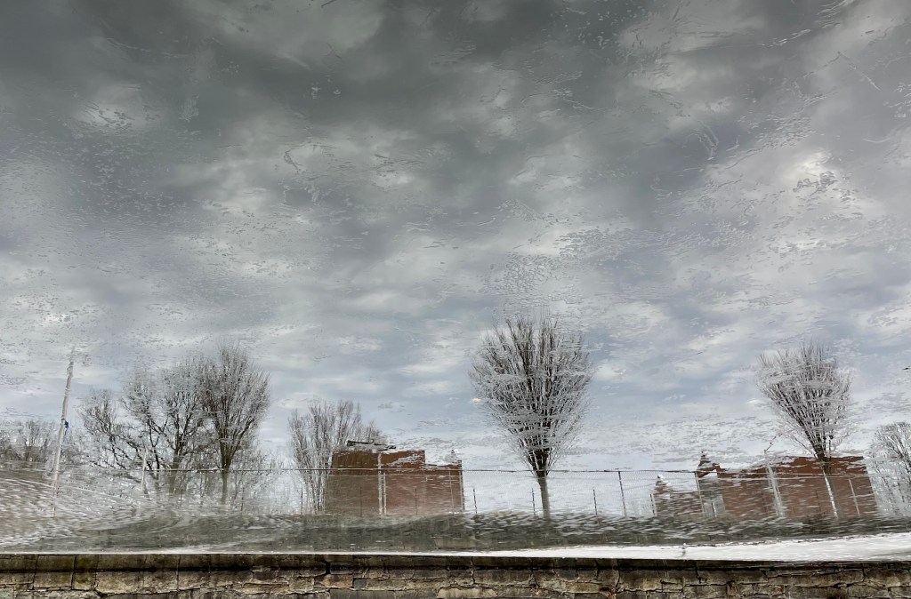 Topsy-Turvy, image photographed by the author